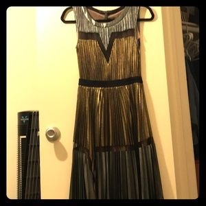 Xs BCBG gold silver pleated dress NWT